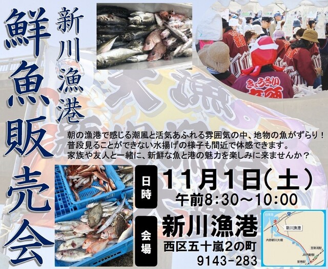 鮮魚販売会画像