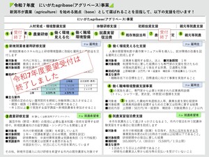 事業チラシ2枚中の1枚目