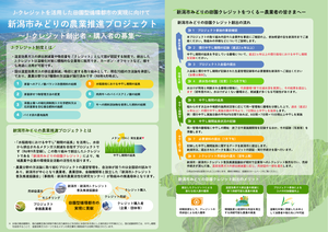 新潟市みどりの農業推進プロジェクトチラシその1