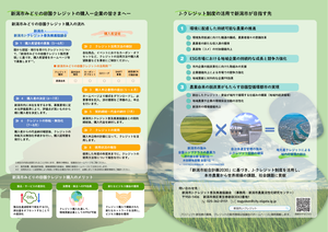 新潟市みどりの農業推進プロジェクトチラシその2