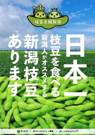 枝豆プロモーション用ポスター
