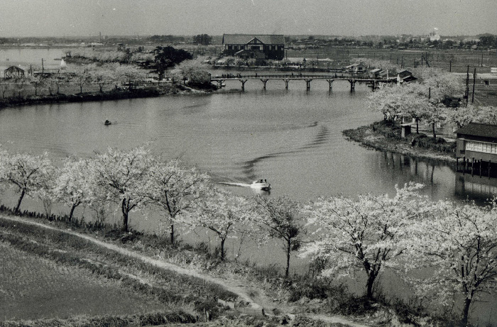 昭和30から40年代頃