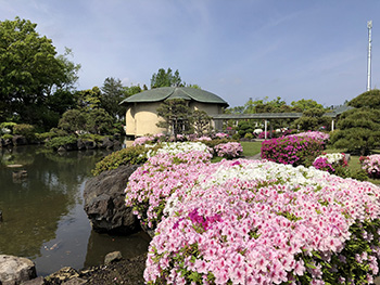 日本庭園・瞑想館