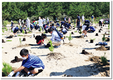 区民協働の森づくり クロマツの植樹