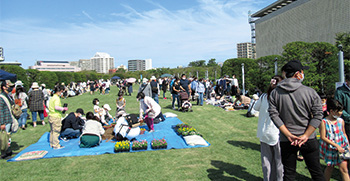 白山公園　春の空中庭園フェア