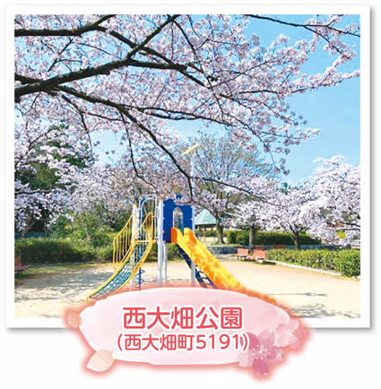 西大畑公園(西大畑町5191)
