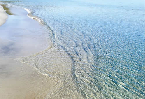 日和山浜は遠浅の海で透明度が高い