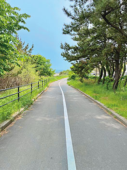 海沿いのサイクリングロード