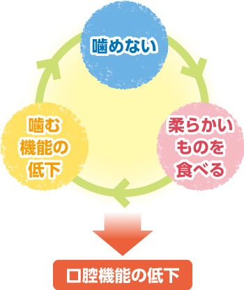 噛めない・柔らかいものを食べる・?む機能の低下 → 口腔機能の低下