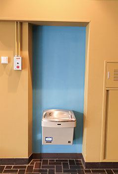 からし色と水色の対比が素敵な壁