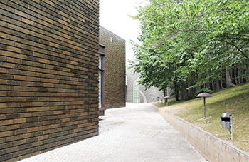「山の庭」に続く小路は、美しい木々とかっこいい建物の輪郭にも注目! 