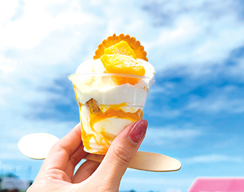 アイス イメージ