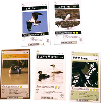 オリジナル野鳥カード「トリカ」　イメージ