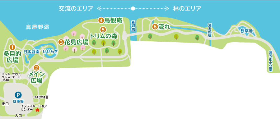新潟県立鳥屋野潟公園　周辺マップ