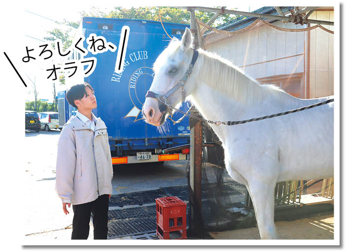 写真　馬とご対面