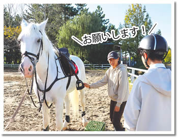 写真　馬場で体験開始