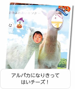 顔出しパネル　アルパカになりきってはいチーズ!