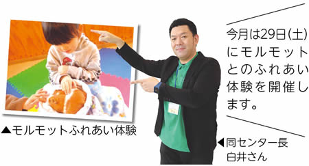 今月は29日(土曜)にモルモットとのふれあい体験を開催します。　写真　モルモットふれあい体験の様子とセンター長 白井さん