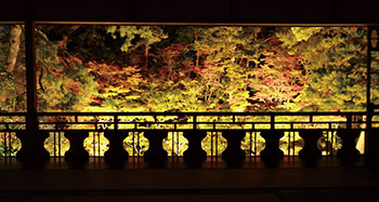 旧齋藤家別邸　秋の庭園ライトアップ2025　風景