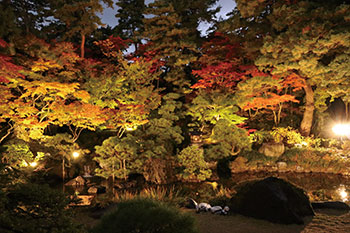 旧齋藤家別邸　秋の庭園ライトアップ2025　風景