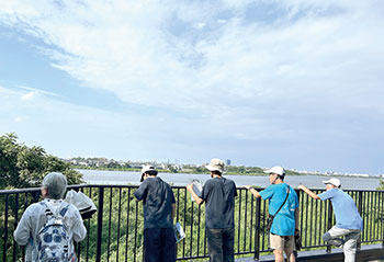 鳥屋野潟を視察する様子