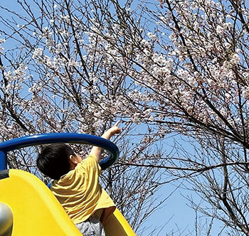 西海岸公園　風景