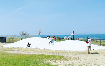 西海岸公園　風景