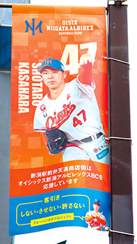 オイシックスとコラボした客引き防止を呼び掛けるフラッグ