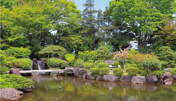 写真　天寿園の日本庭園