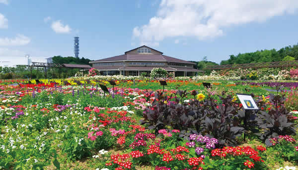 写真　いくとぴあ食花　キラキラガーデン