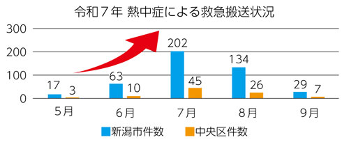 令和7年熱中症救急搬送状況グラフ。新潟市の5月17件、6月63件、7月202件、8月134件、9月29件。中央区の5月3件、6月10件、7月45件、8月26件、9月7件