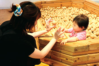 1歳以下の赤ちゃん専用コーナーにあるボールプール