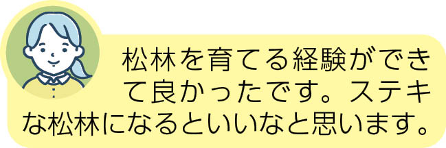 松林を育てる経験ができて良かったです。ステキな松林になるといいなと思います。