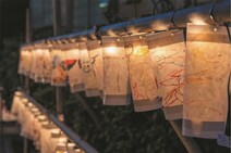 白灯展示の画像