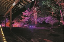 庭園ライトアップの画像