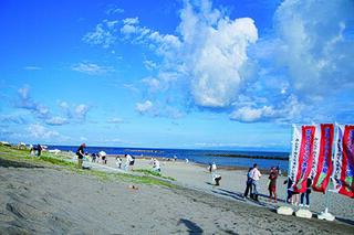 海岸清掃