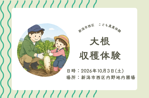 大根収穫体験募集画像