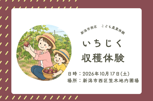 いちじく収穫体験募集画像