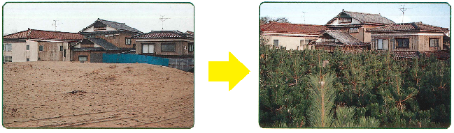 西区上新栄町の植栽前後の比較写真