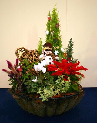 寄せ植えサンプル画像