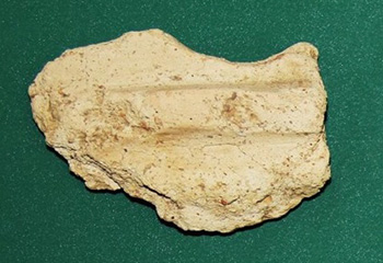 発掘された円筒埴輪の破片
