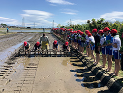 田植え体験(東中野山小学校)