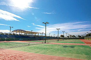 新潟市庭球場 テニスコート