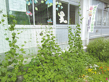 緑のカーテン事業(東石山中学校)