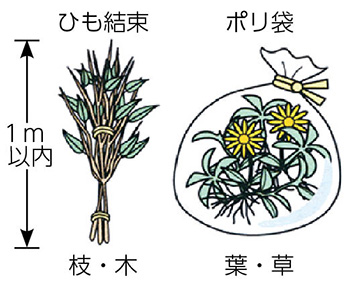 枝葉・草