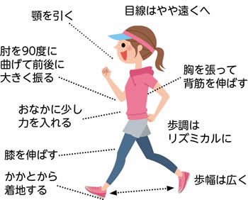 基本のフォーム図説