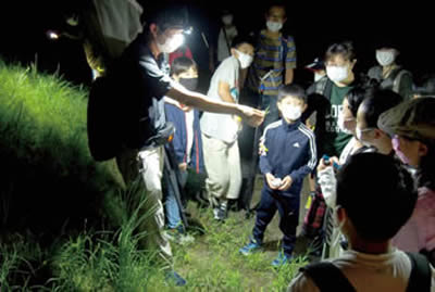 夜のじゅんさい池探検の様子