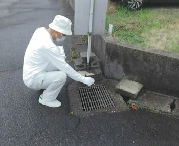 昆虫成長制御剤投入の様子写真