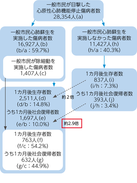 一般市民が目撃した心原性心肺機能停止傷病者数 28,354人(a) | 
うち、一般市民心肺蘇生を実施しなかった傷病者数 11,427人(h) (h/a:40.3%) | 1カ月後生存者数 837人(i) (i/h:7.3%) | うち1カ月後社会復帰者数 393人(j) (j/h:3.4%) | 
一般市民心肺蘇生を実施した傷病者数 16,927人(b) (b/a:59.7%) | 一般市民が除細動を実施した傷病者数 1,407人(c) | 1カ月後生存者数 2,511人(d) (d/b:14.8%) | うち1カ月後社会復帰者数 1,697人(e) (e/b:10.0%) | 1カ月後生存者数 763人(f) (f/c:54.2%) | うち1カ月後社会復帰者数 632人(g) (g/c:44.9%) ※一般市民心肺蘇生を「実施しなかった傷病者」に比べ「実施した傷病者」の1カ月後生存者数は約2倍、うち1カ月後社会復帰者数は約2.9倍