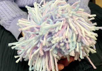 写真 コミュニティボール